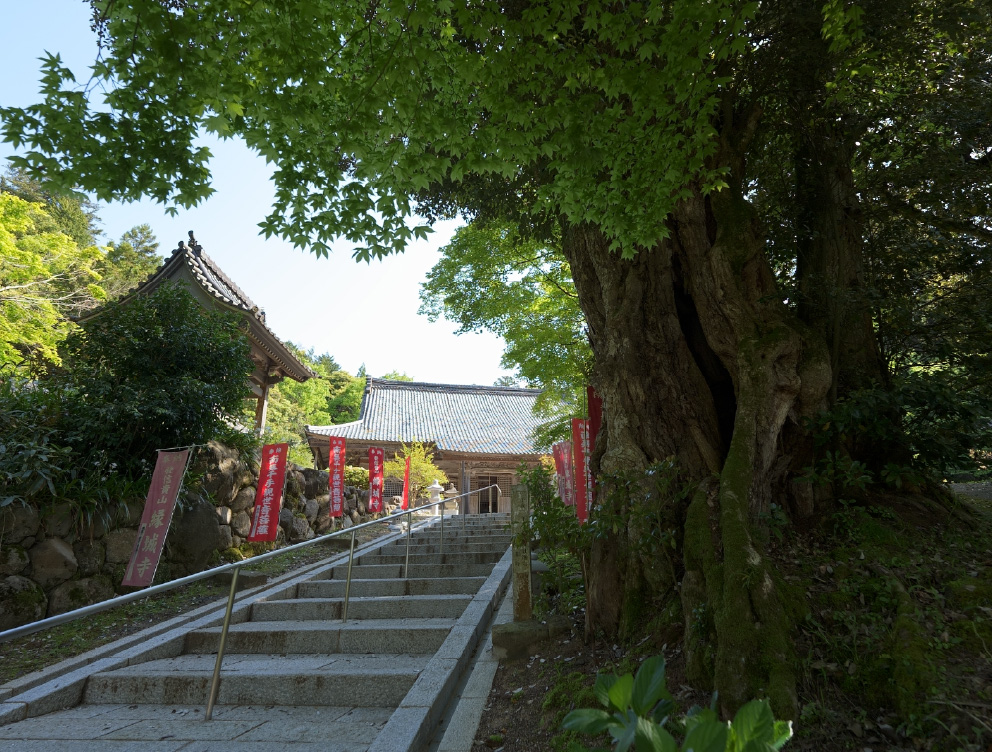 Temple Enjoji1