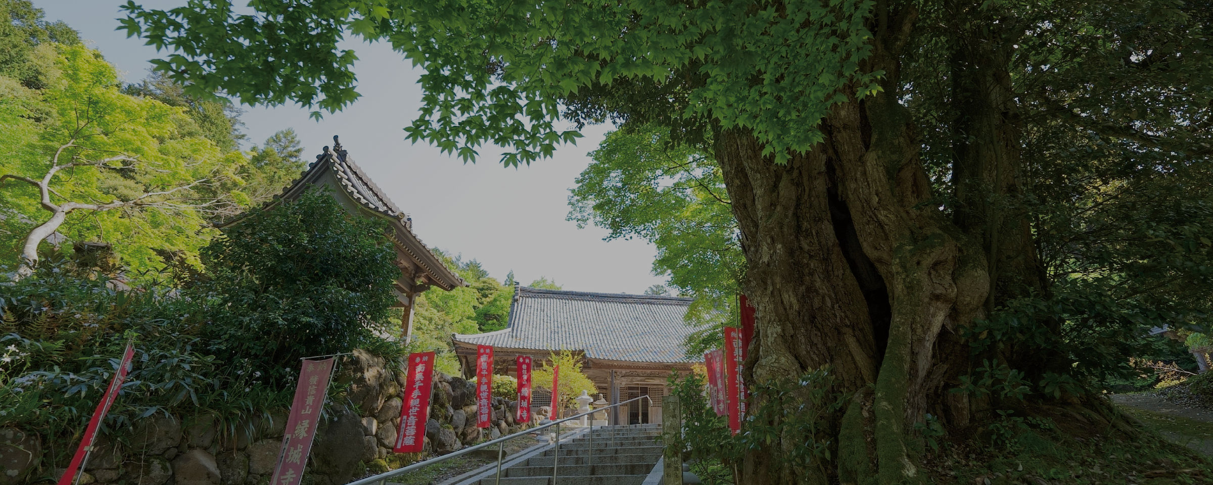 Guide des temples découvrez les trésors nationaux de 10 temples d’Oku Kyoto